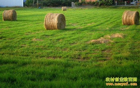 δ����������Ǯ���ֲ�ȴ��׬���죡