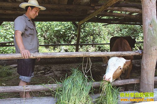 ����ᶼ���Ʒ���ֳ����ţ��׬10��Ԫ