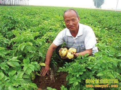 �ӱ��ɰ��ء�����ר�ҡ���־���������������¸�