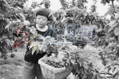 ɽ����ϼ��ӣ�ҽ㡱��������ӣ������20��Ԫ