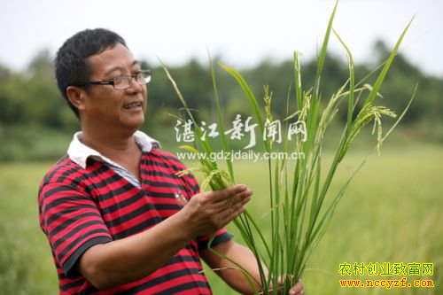 �㶫���ݳ�Ұʯ��ֲˮ����ҵ�¸�