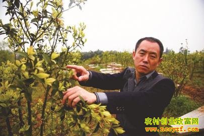 �Ĵ����������Ͳ���������ҩ�ĺ��¸�