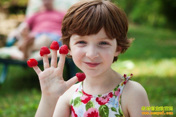 ��ݮ���������ұر�ʳƷ