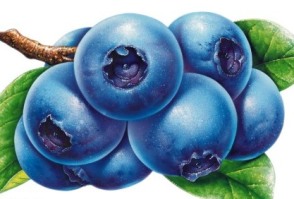 ����ݮ׬Ǯ����ݮ��չǰ������ֲЧ�����