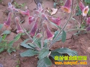 �ػ�����