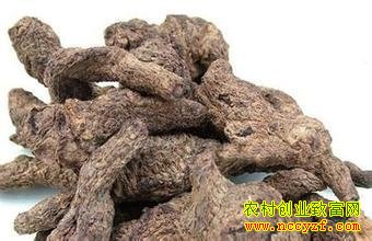 �ػ�����