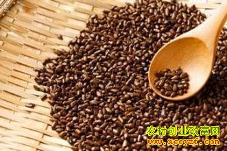 ��������ֲ