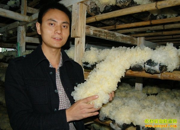 ������֮�ڡ�����