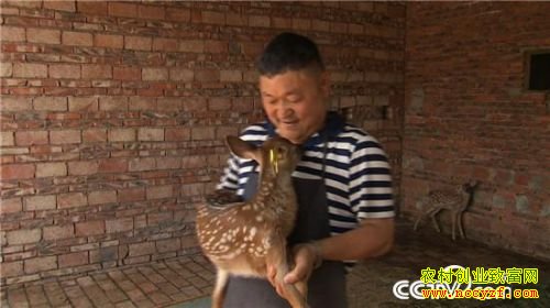 �Ƹ�������ȥ ���������������¹�������