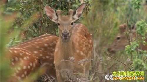 �Ƹ�������ȥ ���������������¹�������