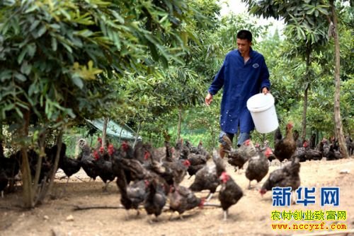 ��������������������̬��������50����Ԫ