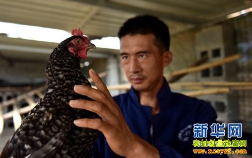 ��������������������̬��������50����Ԫ