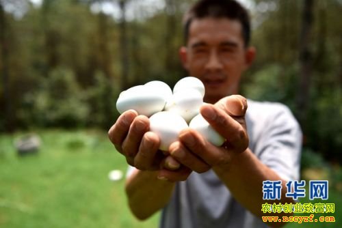 ��������������������̬��������50����Ԫ