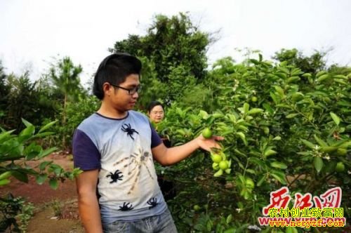 �Ĵ�С����ѧ������ֲ�¸���