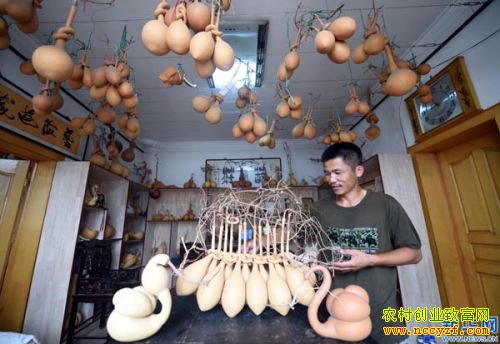 �ӱ���Ǵ޺�����ֲ�ӹ�������«�¸��е�