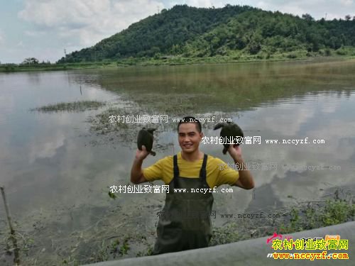 �㽭�����½����������߿�����������������̬���㡱