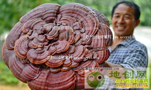 Ų���ѣ����������׼��ƶ�߳���·