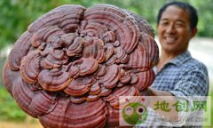 Ų���ѣ����������׼��ƶ�߳���·