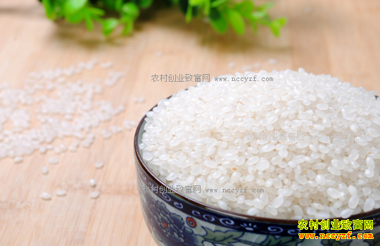 2017����׼۸���������