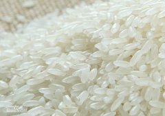 2016��̩�����׳���Ԥ��Ϊ950���