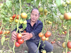 �½����������߲˿�ʼ��������