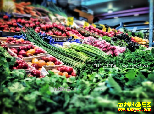 2017���߲˼۸�����