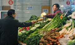 δ���߲˼۸�����ר��Ԥ�⣺����ĩ��ʼ���˼۽�����ȫ�����ǽ׶�