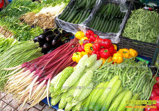 �߲˼۸�2017�������