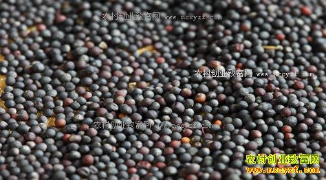 �ڿ�������1��5�ն����Ͳ��Ѳ������Ϊ89.92����