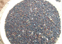 �½�2016����޻������ʽ�Ҹ���ũ������