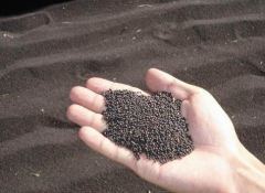 ���ô��Ͳ��Ѳ������Ԥ������