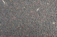 2016/17�������Ͳ��ѺͿ����ѹ�Ӧ����