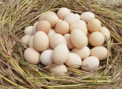 �����۸����Ԥ��2017�꣺Ԥ�ƶ����ڵ��ۻ�����������